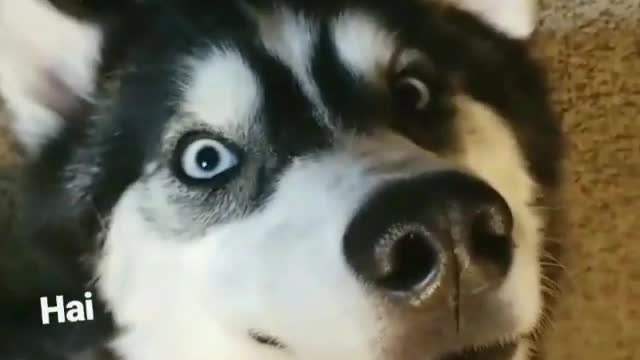Sleep with your eyes open