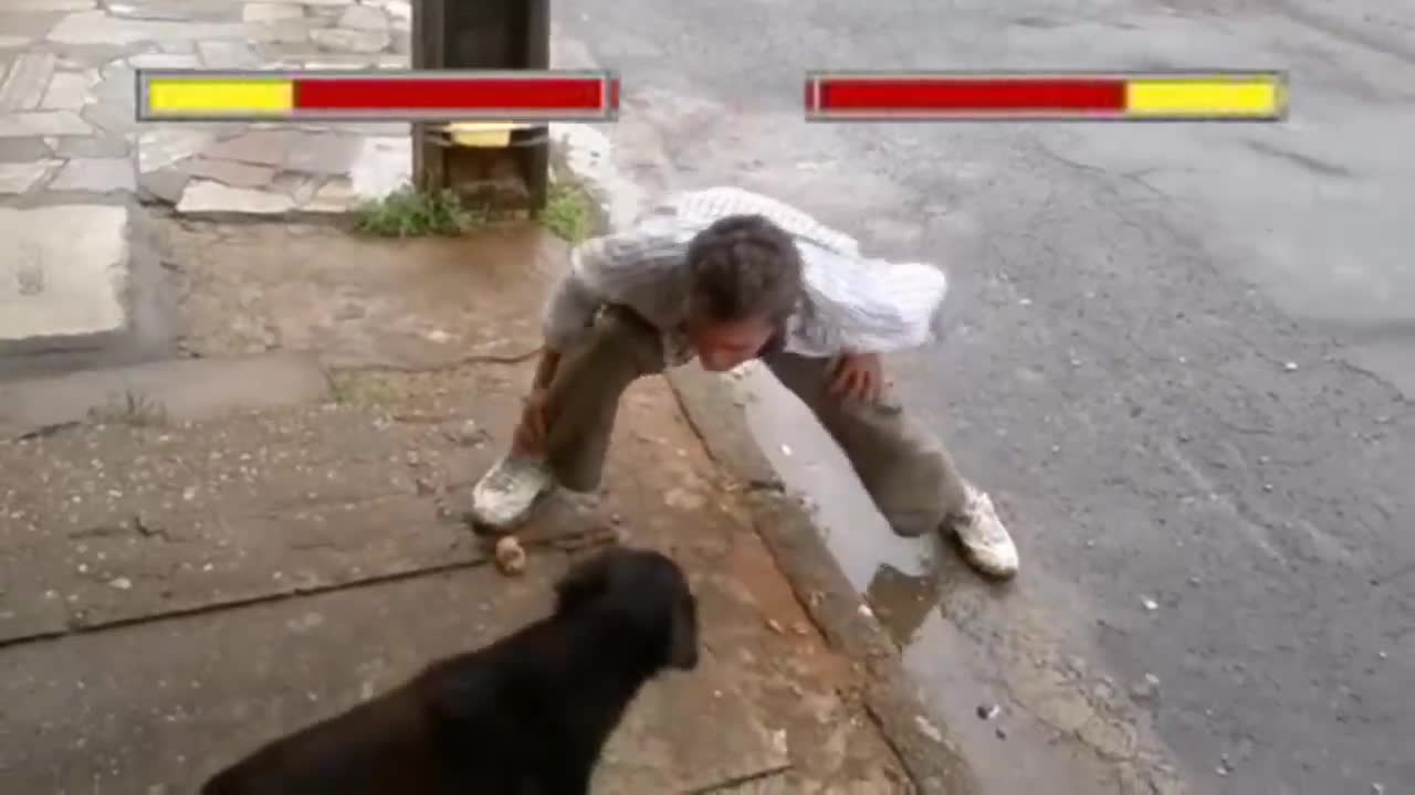 dog vs man!