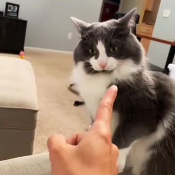 That is rude, please stop that😁😁😁