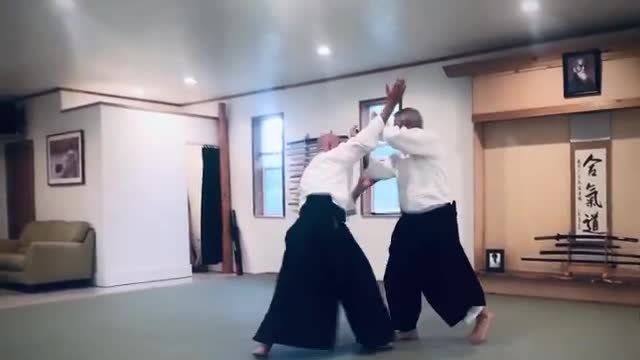 Kimusubi Aikido Orlando