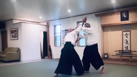 Kimusubi Aikido Orlando