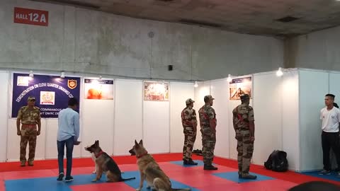 CISF DOG TRAINING || How to train a Cid dog