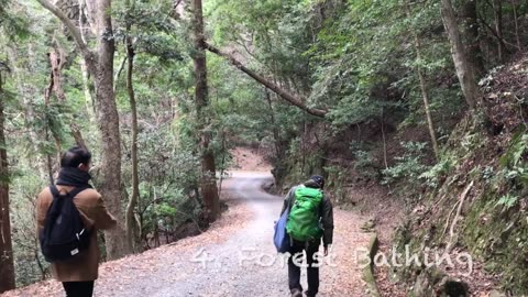 NARA JAPAN TRAVEL & TOUR GUIDE / TOP-12 UNIQUE THINGS TO DO IN NARA