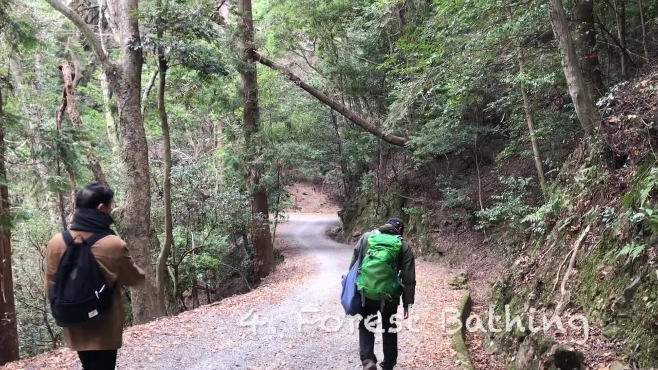 NARA JAPAN TRAVEL & TOUR GUIDE / TOP-12 UNIQUE THINGS TO DO IN NARA