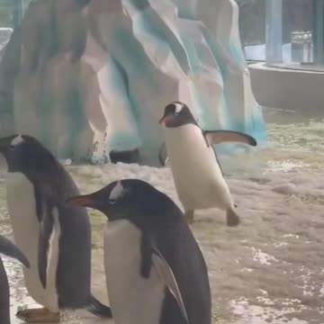 She trying to kill us! Almost broke my back 😂