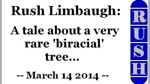 Rush Limbaugh: A tale about a very rare 'biracial' tree... (March 14 2014)