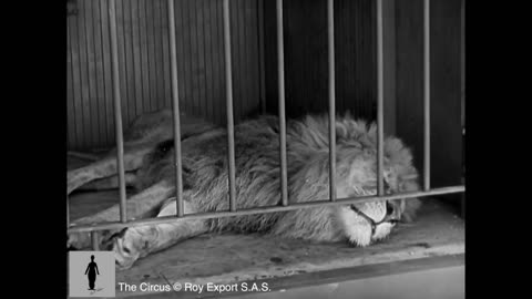 Charlie Chaplin - The Lion Cage - Full Scene The Circus, 1928