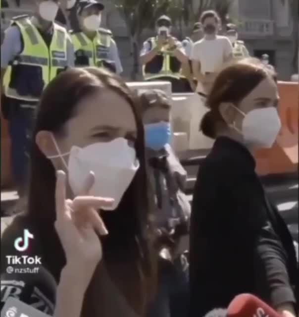 NZ Truth in Plain Sight