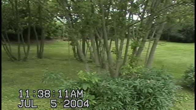 The Farm pt.1