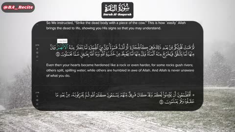 Quran Page 11 - Surah/Chapter: 2 Al Bakarah #explore #BA_Recite English Translation #quran