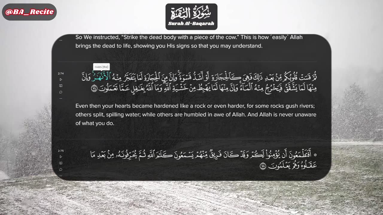 Quran Page 11 - Surah/Chapter: 2 Al Bakarah #explore #BA_Recite English Translation #quran