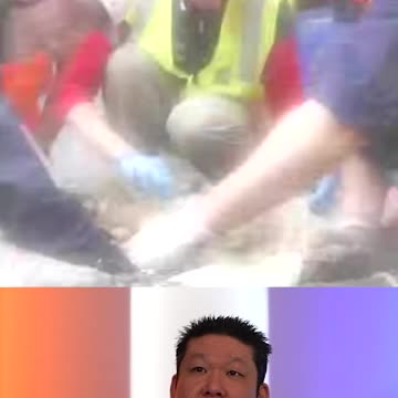 NEW Species of Sea Creatures FOUND