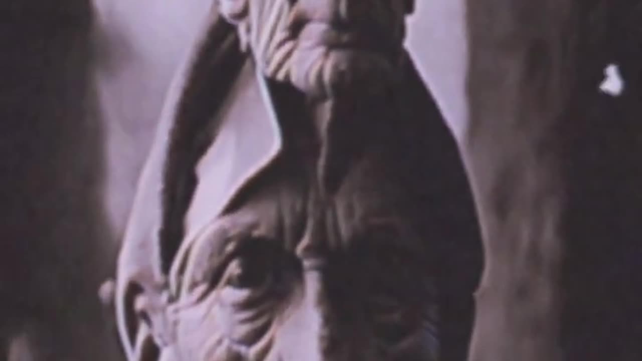 STRANGE DOUBLE HEADED MAN