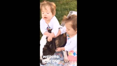 Cute Two Baby Are Playing With Lovely Puppy Doge