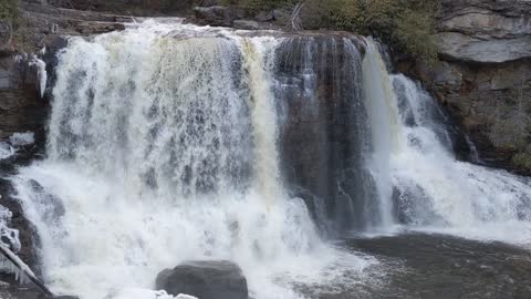 Blackwater Falls