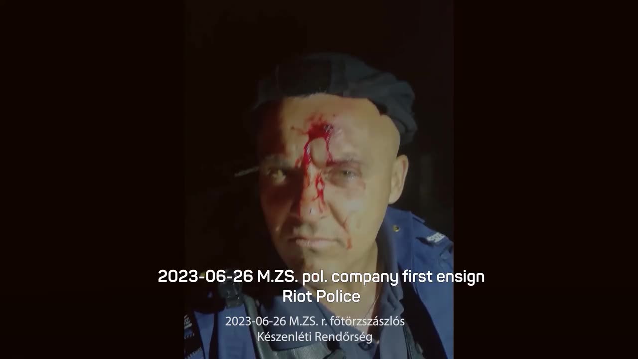 Hungarian Migration Video