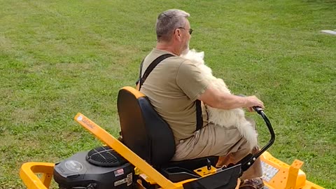 Finn Mowing the Grass