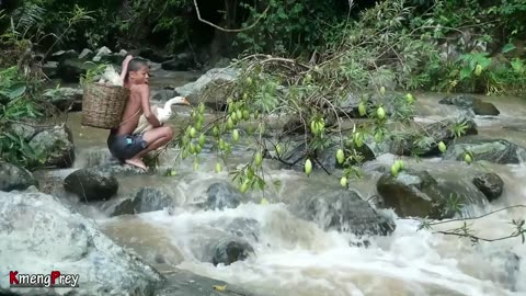 Primitive technology - Eating rich mango fruits delicious