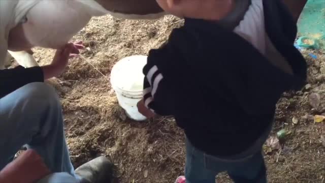 Learning on the farm