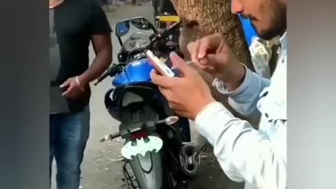 funny dog vs monkey video ll funny video ll comedy videos ll zili funny video ll funny tik tok video