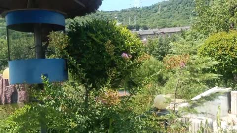 The landscape is good