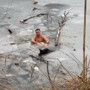 WATCH : Brave Bystander Rescues Dog From Frozen River. 😢