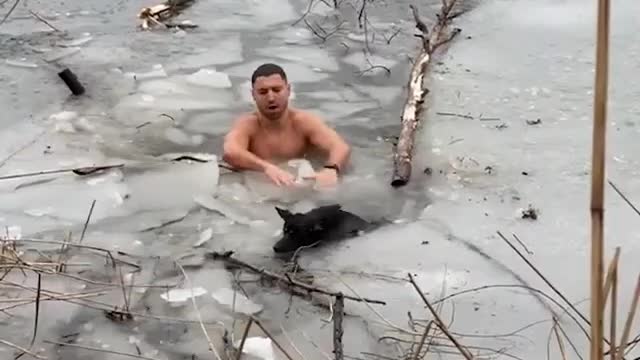 WATCH : Brave Bystander Rescues Dog From Frozen River. 😢