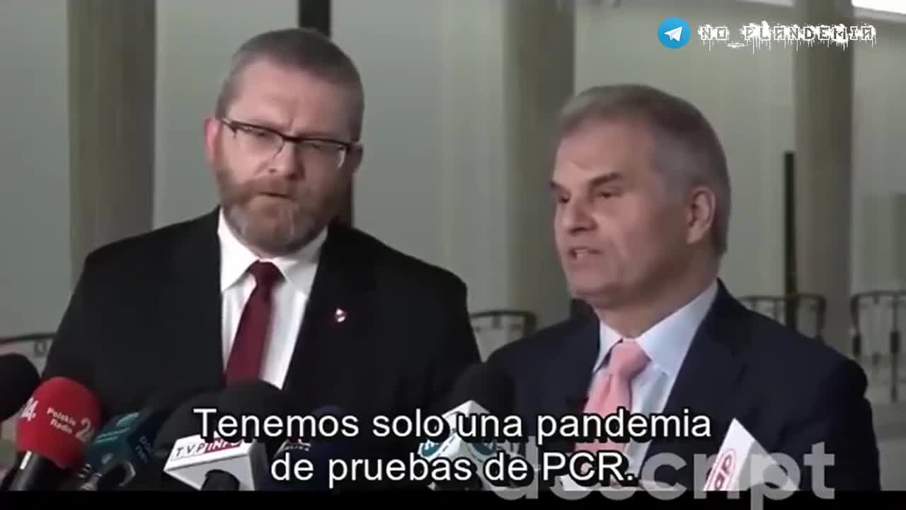 Dr. Reiner Fuellmich Inicio del juicio contra la PCR Covid 19 Plandemia Coronavirus