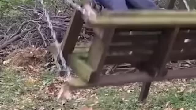 Best Funny Video Clips #shorts (119)