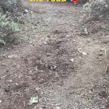 Finished cleaning up the road 🥵 #vanlife #caravaning #caravan #diy #diyprojects