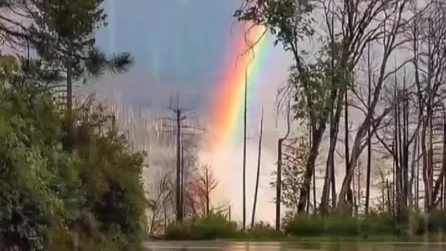 Rainbow by nature