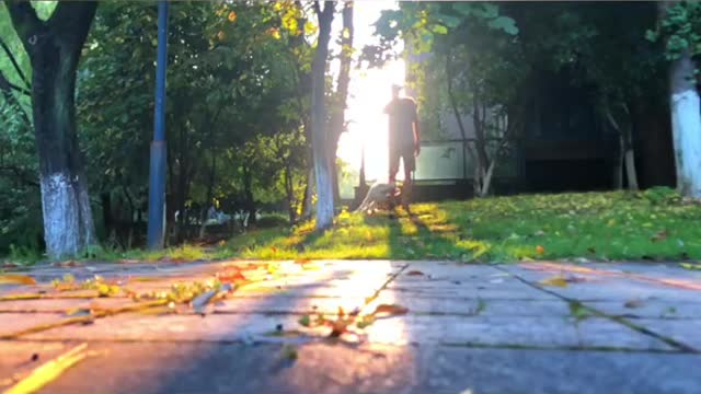 Super cool pup performs incredible backflip trick