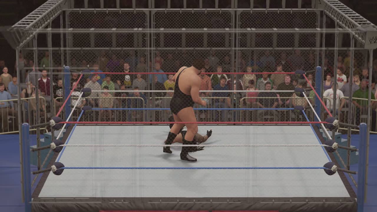 MATCH 254 ROMAN REIGNS VS ANDRE THE GIANT WITH COMMENTARY