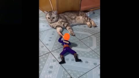 Funny clips of animals/pets