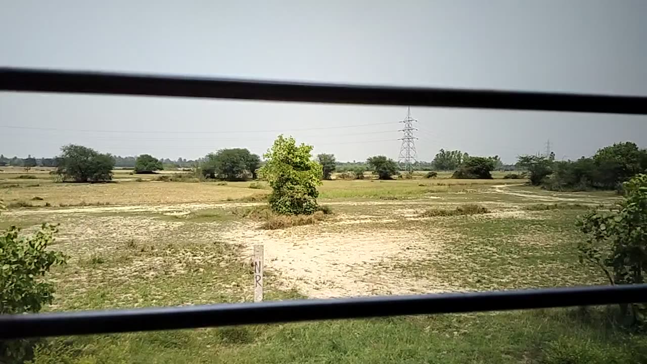 train