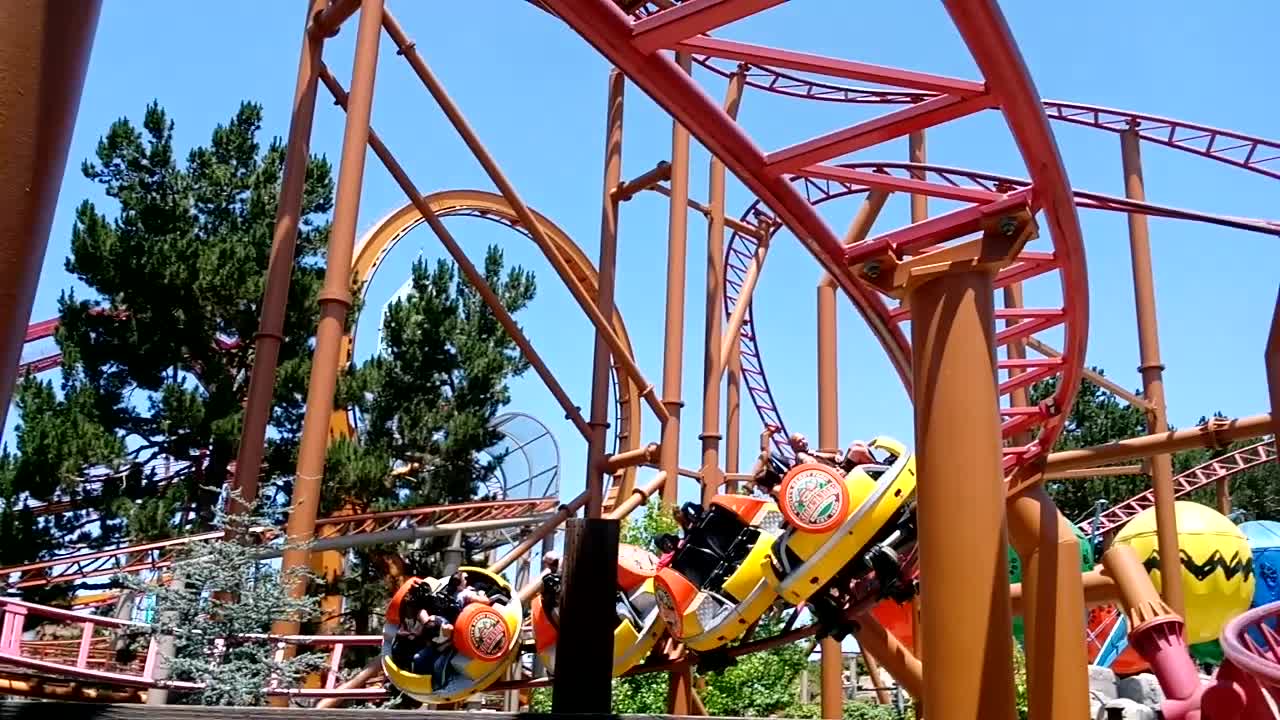 knotts berry farm sidewinder