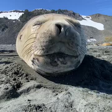 Best caption will be pinned🤣