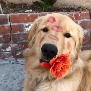 Whose this flower for?