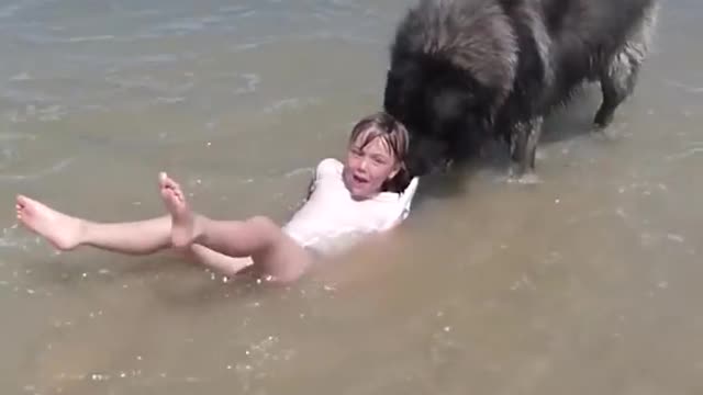 Dog 🐕 Save the little girl from ocean