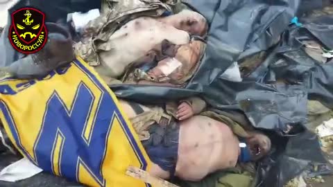 Video Supposedly Showing Dead Azov