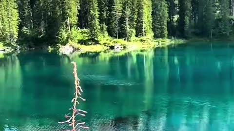 Beauty of Nature