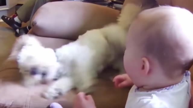 Dogs are the best friend of Babies 17