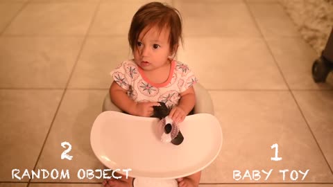 Baby Toys vs. Random Objects (WHICH DO THEY PREFER?)