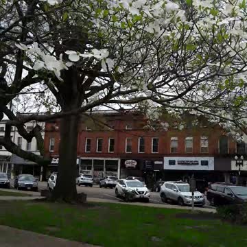 Hello to all my dear children all across this world, from Paris, TN 4-16-22