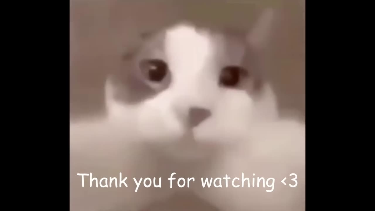 TRY NOT TO LAUGH 20 TIMES