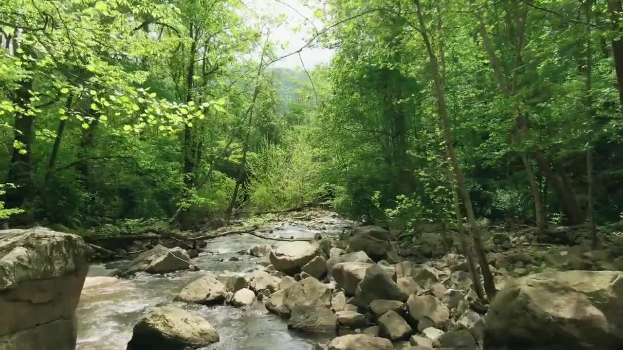 Awesone nature drone footage incrible