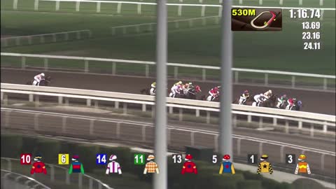 Horce_Race_2022050403_English