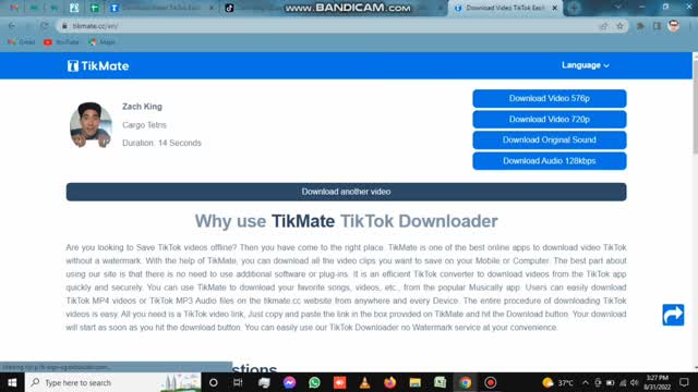 TikTok Video Downloader Save TikTok Videos Without Watermark