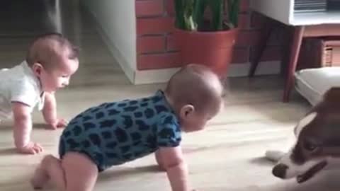 babies playing with their very cute dog