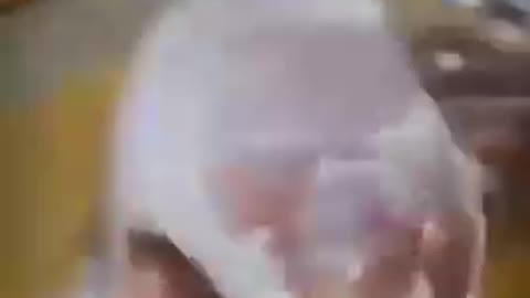 See how chicken injected with covid vaccine reacts